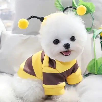 Fantasia De Abelha Pet