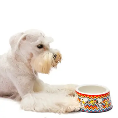 Comedouro Para Cães Melamina Snoopy Mosc Zooz Pets 250ml