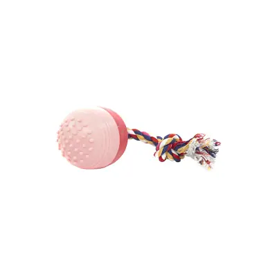 Brinquedo Cães The Pets Bola Massageadora Sonora The Dogs Toy Grande