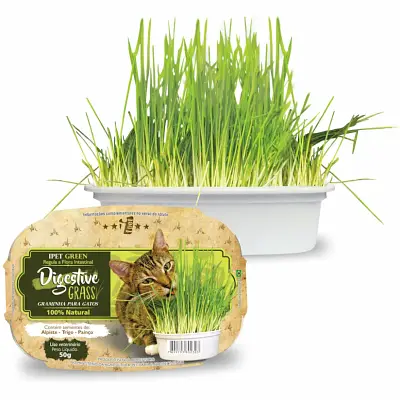 Graminha para Gatos Green Digestive Grass Ipet 50g