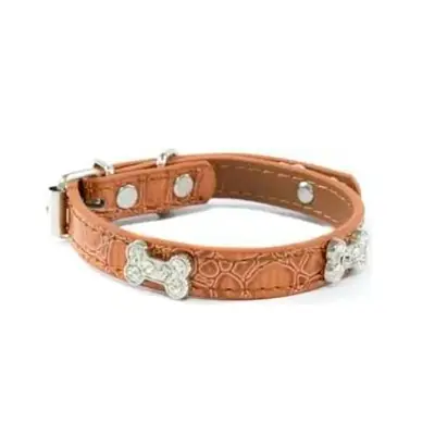 Coleira Cães The Pets Fashion Bone Strass Grande