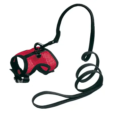 Conjunto de Guia e Peitoral Ferplast Jogging - Cores Sortidas - Tamanho P