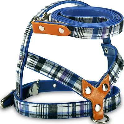 Peitoral com Guia AMF Cães Xadrez Azul