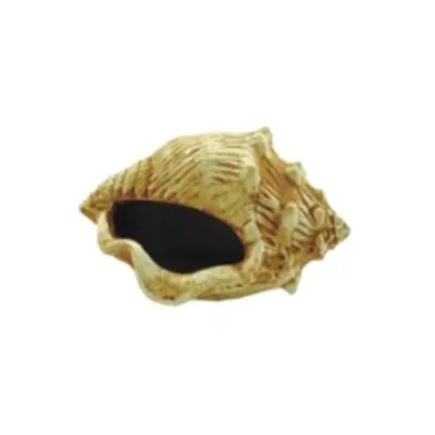 Decoração Trema Para Aquários Caracol Envelhecido
