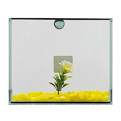 Aquário Beteira Design Tubular Decorada