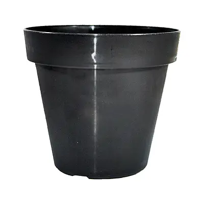 Vaso Okla Ponte Preto