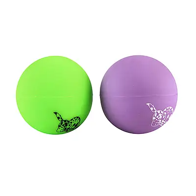 Brinquedo Líder Pet Bola de Adestramento para Cães - Cores Sortidas