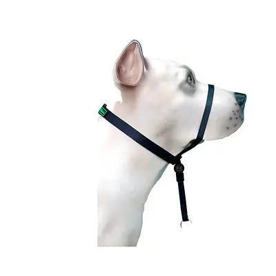 Coleira K9 Spirit Cabresto para Cães Preta