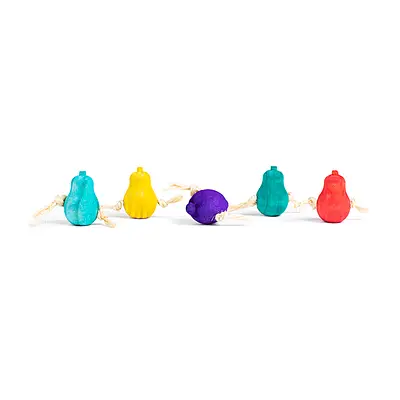 Brinquedo Passaritos Toys Salada de Frutas para Roedores - Cores Sortidas