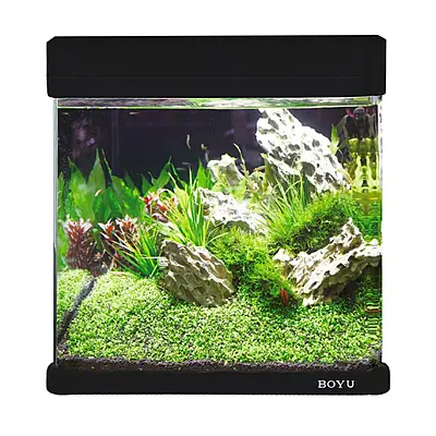 Aquário Boyu Curvo MS 220 7,5L Preto
