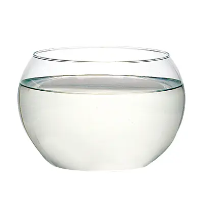 Vaso Luvidarte Aquário Transparente
