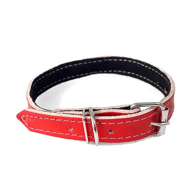 Coleira São Benedito Pet Couro Forrado Vermelho para Cães