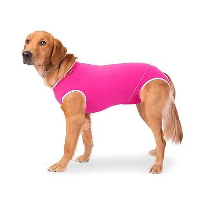 Roupa Cirúrgica Confortpet Regular Macho e Fêmea Rosa para Cães