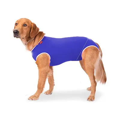 Roupa Cirúrgica Confortpet Castração Macho Azul para Cães