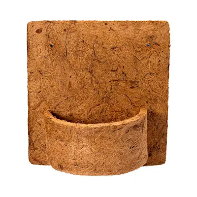 Placa com Vaso West Garden Ecológico de Fibra de Coco