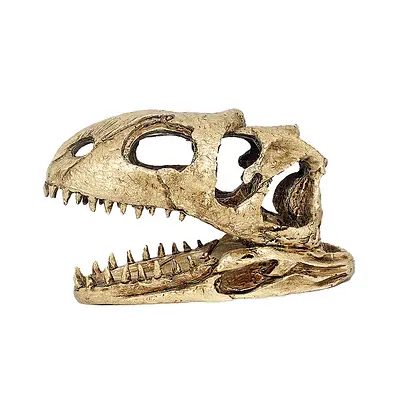 Enfeite Nomoy Pet Cranio Dinossauro
