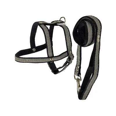 Peitoral com Guia Griff Dog Tradicional para Cães - Cores Sortidas