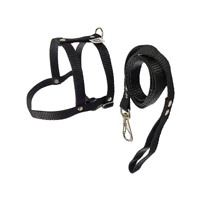 Peitoral com Guia Griff Dog Tradicional Liso para Cães - Cores Sortidas