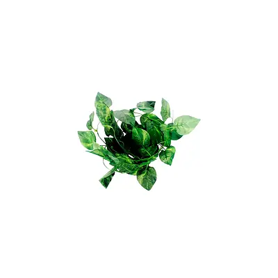 Planta Nomoypet Videira de Plástico NFF-12 Verde para Répteis