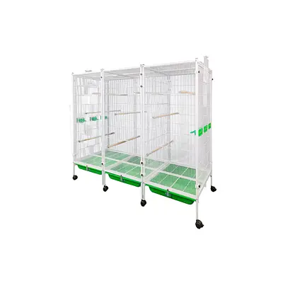 Viveiro Modular Bragança 3 Módulos Malha 15 mm Branco e Verde para Calopsitas