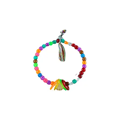 Brinquedo Animalissimo Balanço Argola Fruta para Pássaros M