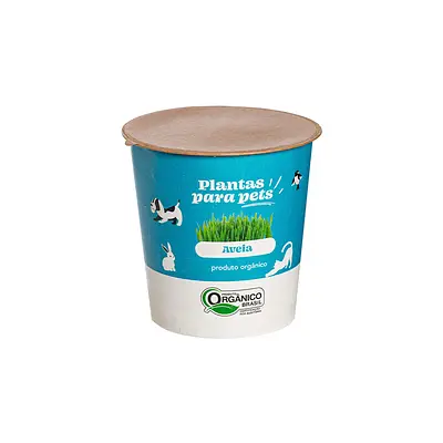 Graminha para Pets Veiling Holambra Aveia Ornamental 60 g