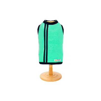 Moletom Bonito pra Cachorro Básico Sport Verde para Cães