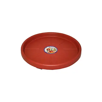 Prato com Rodas Marrom Skate Okla 40cm