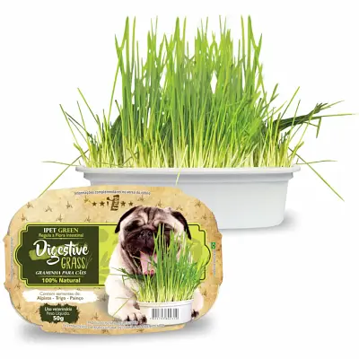 Graminha para Cães Green Digestive Grass Ipet 50g
