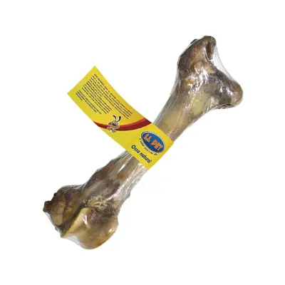 Osso para cães Fêmur Bovino LL Pet 1 Unidade