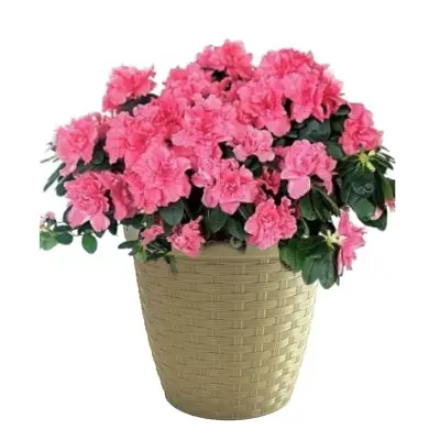 Cachepô Rattan Cinza Taupe Okla 1,2L