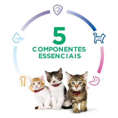 Ração Hill s Science Diet Gatos Filhotes 7,03kg