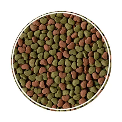 Ração Para Roedores Alcon Club 80g