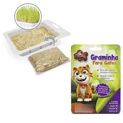 Graminha Para Gatos São Pet 50g