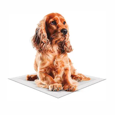 Tapete Higiênico Cães Rauf Max Neutro 60x60cm C/ 30Un