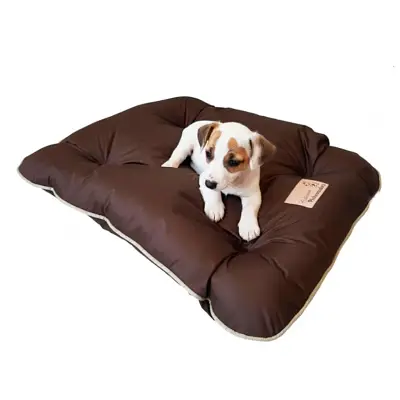 Almofadog Marrom Pickorruchos Tamanho M
