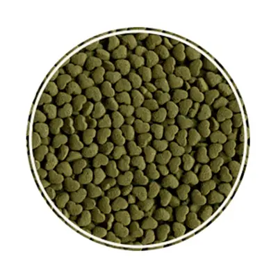Ração Para Mini Coelho Alcon 500g