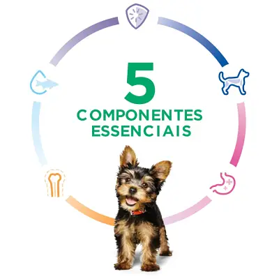 Ração Hill s Science Diet Cães Filhotes Small & Mini 5,67kg