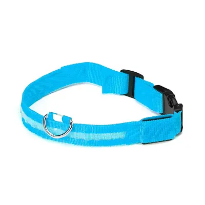 Coleira Com Led Cães The Pets Colors Grande