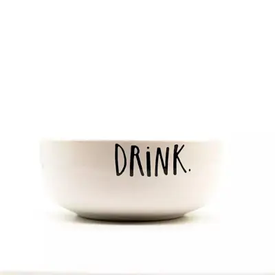 Bebedouro Cerâmica Pet Injet Drink Branco Grande