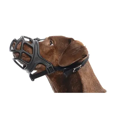 Focinheira Para Cães Kruuse Nº 2