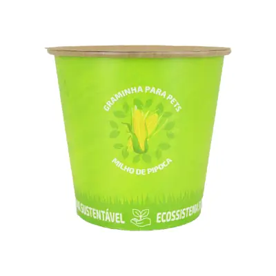 Graminha Para Pets 60g