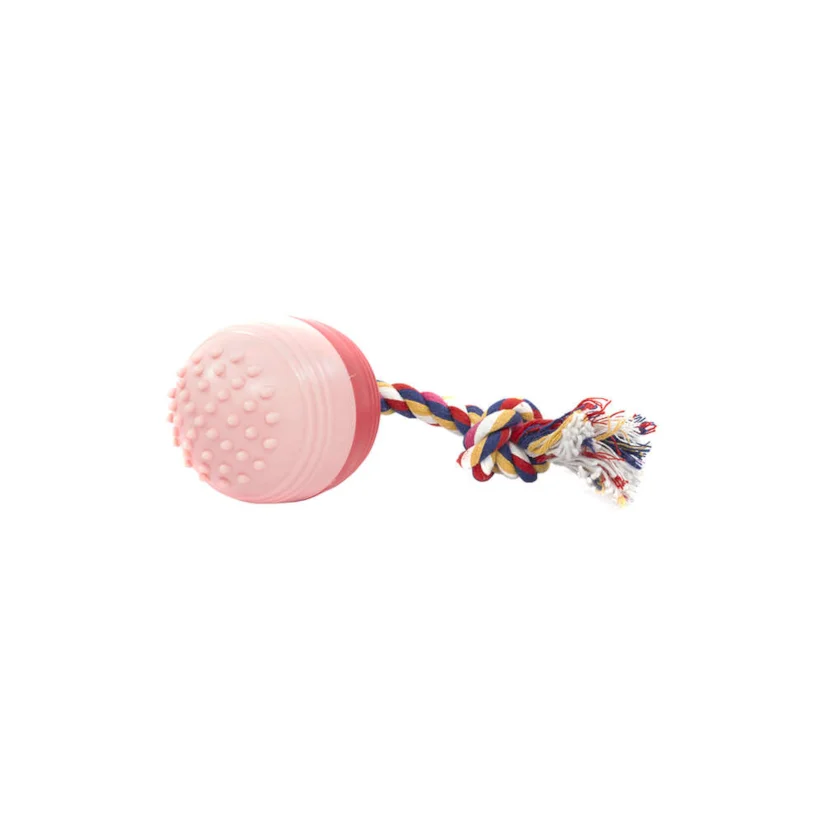 Brinquedo Cães The Pets Bola Massageadora Sonora The Dogs Toy Grande