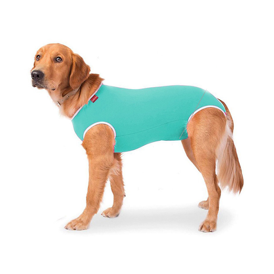 Roupa Cirúrgica Confortpet Castração Macho Verde para Cães