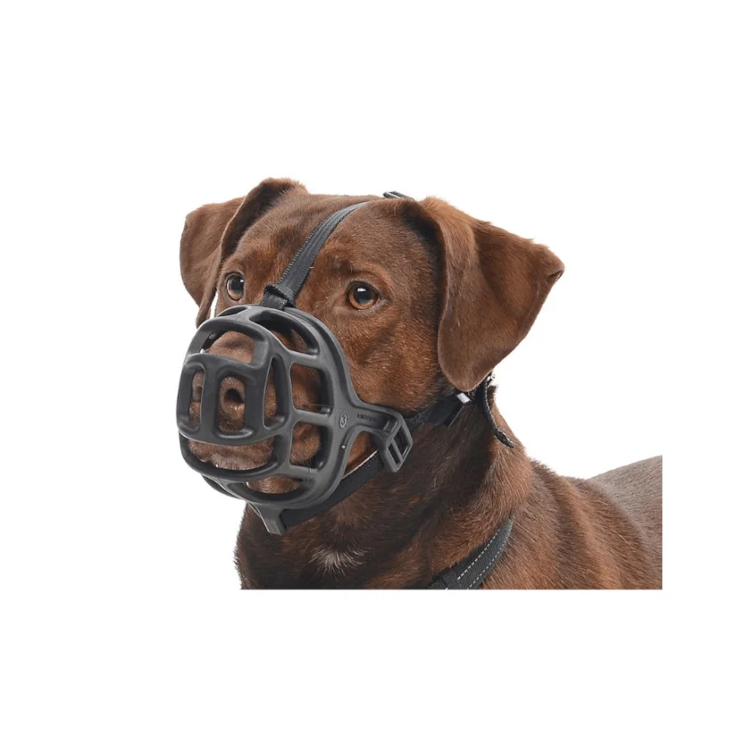Focinheira Para Cães Kruuse Nº 5