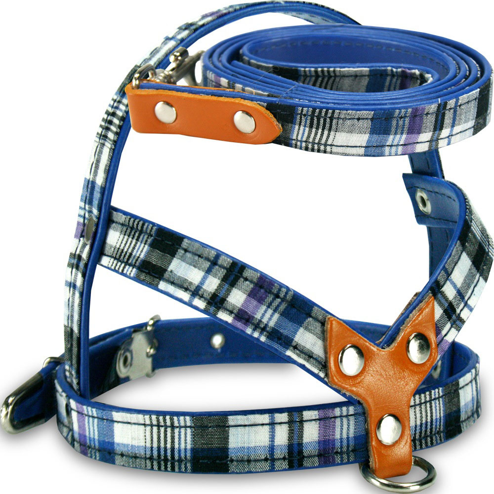 Peitoral com Guia AMF Cães Xadrez Azul