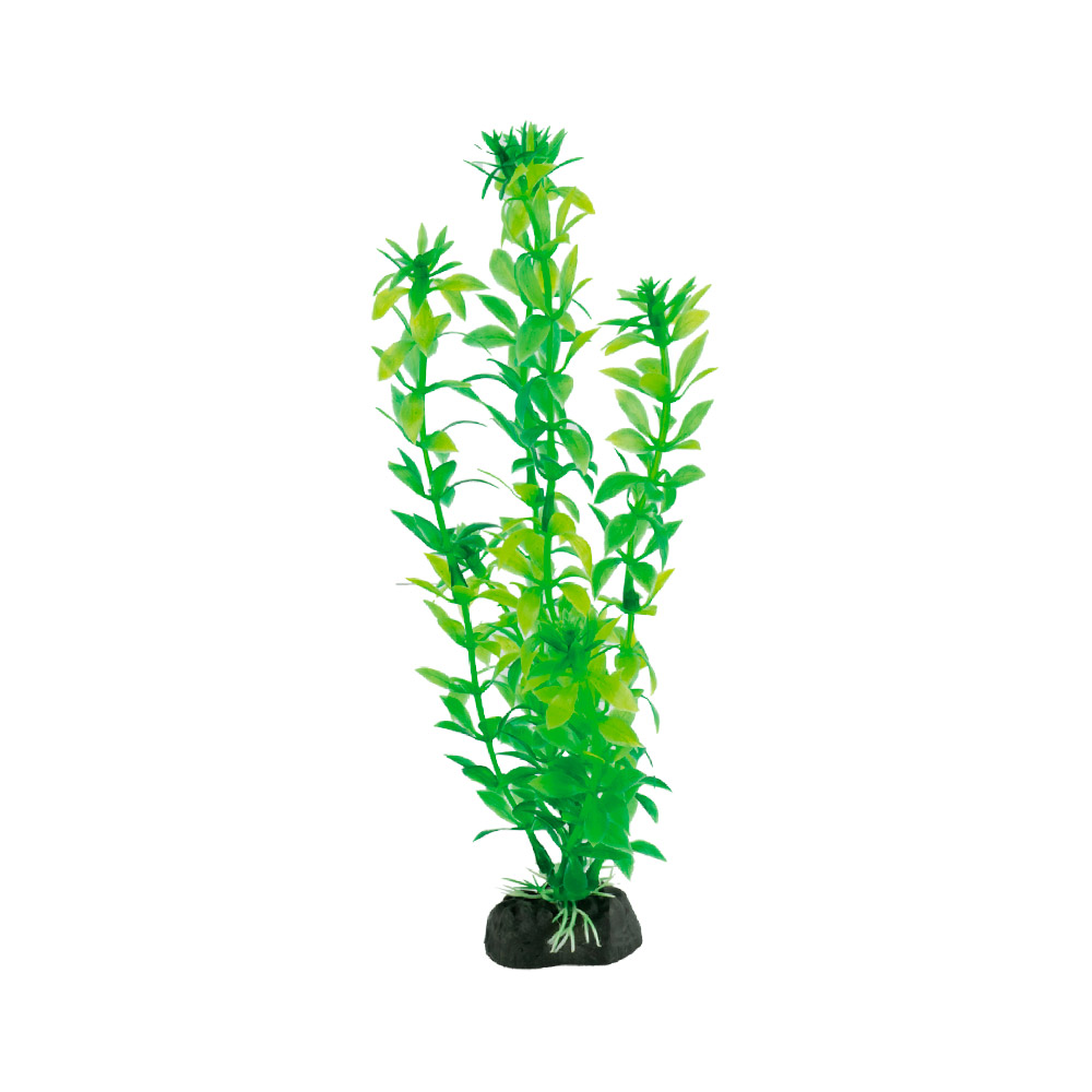 Enfeite Soma Planta Plástica Economy MOD432 para Aquários