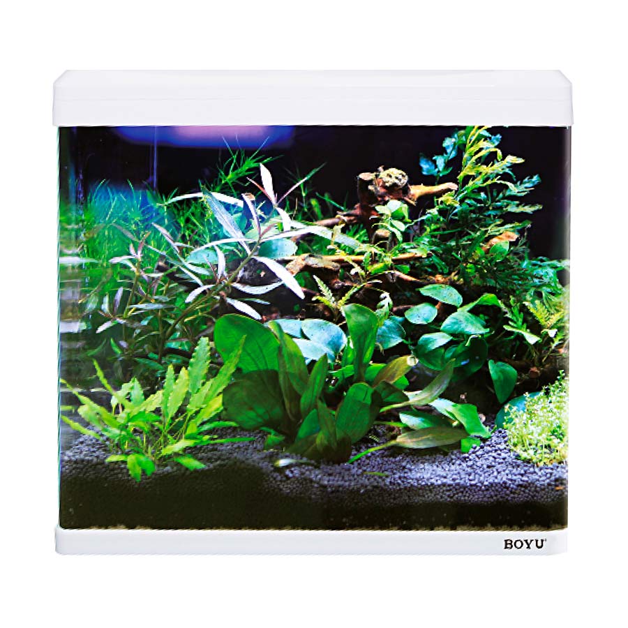 Aquário Boyu Curvo EC 600 66L Branco