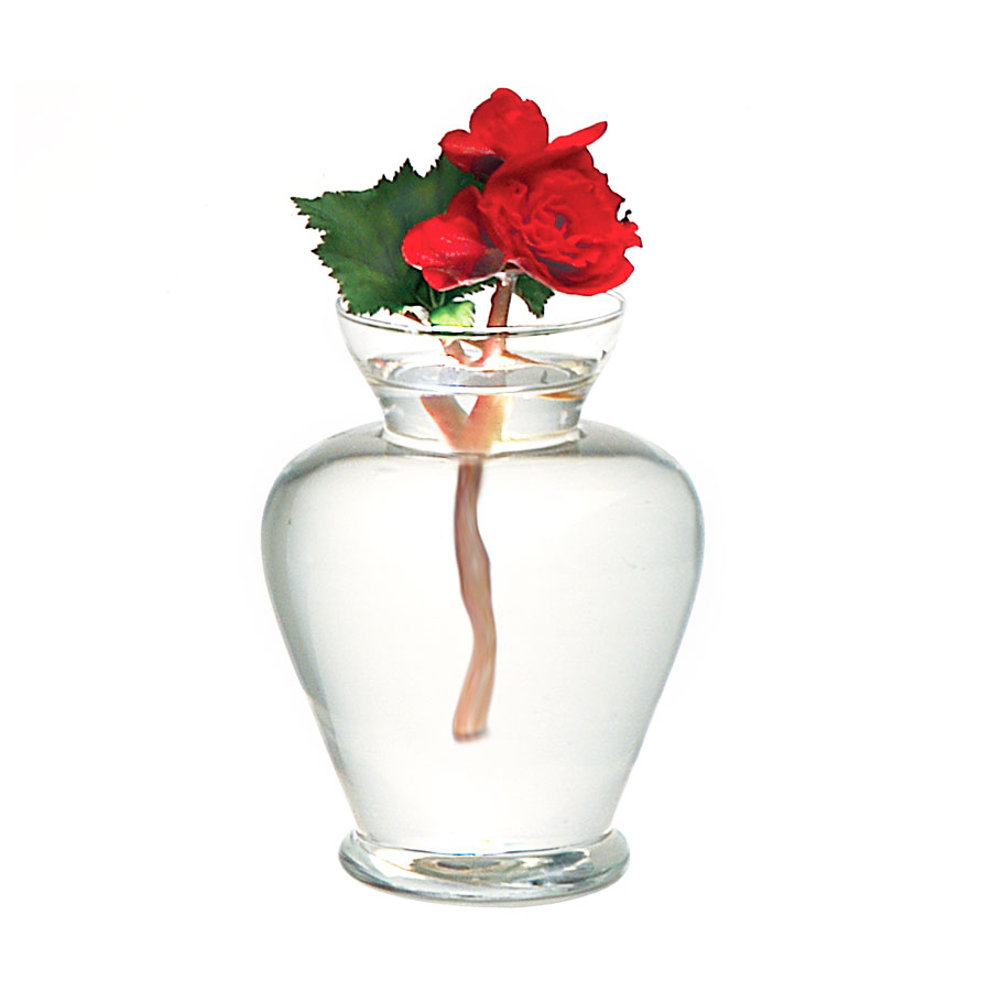 Vaso Luvidarte Bojudo Transparente