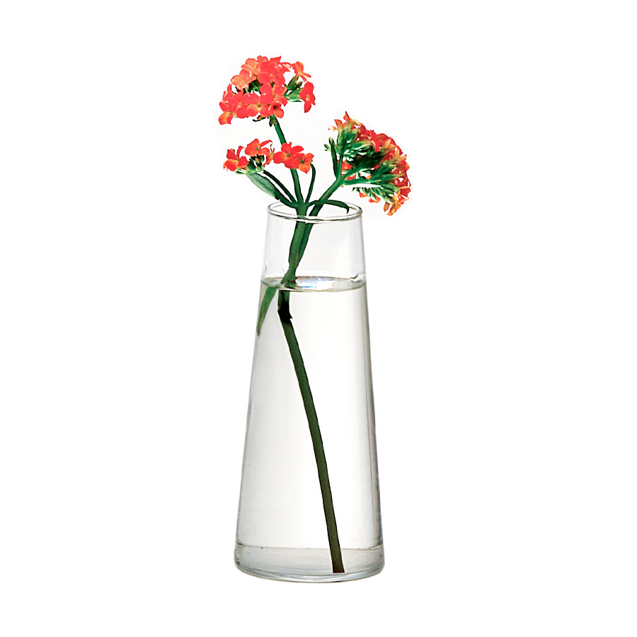 Vaso Luvidarte Cone Transparente